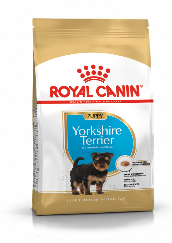 Yorkshire Terrier Puppy 0,5 кг