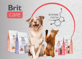 Новинка: Сухие функциональные корма Brit Care класса суперпремиум для собак и кошек!