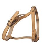 Шлейка кожаная одинарная 1,5 х 46 -52 см