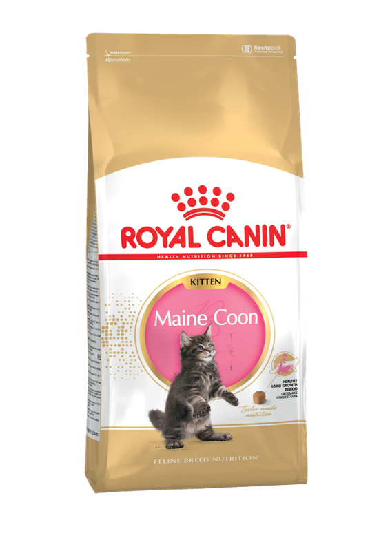 Maine Coon Kitten 0,4 кг