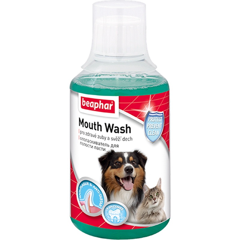 Mouth Wash 250 мл