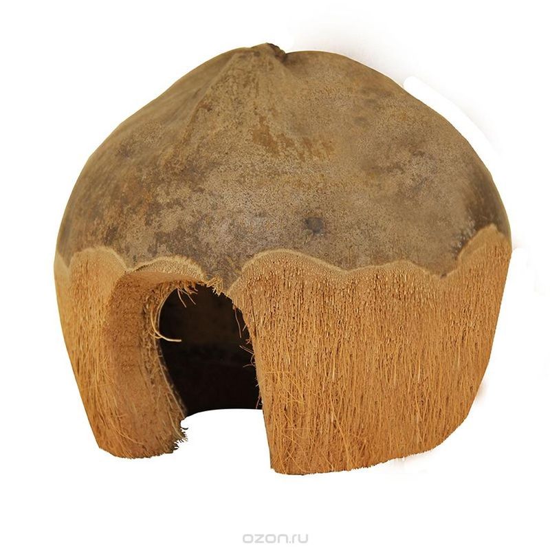 Домик для грызунов из кокоса 10 х 13 см