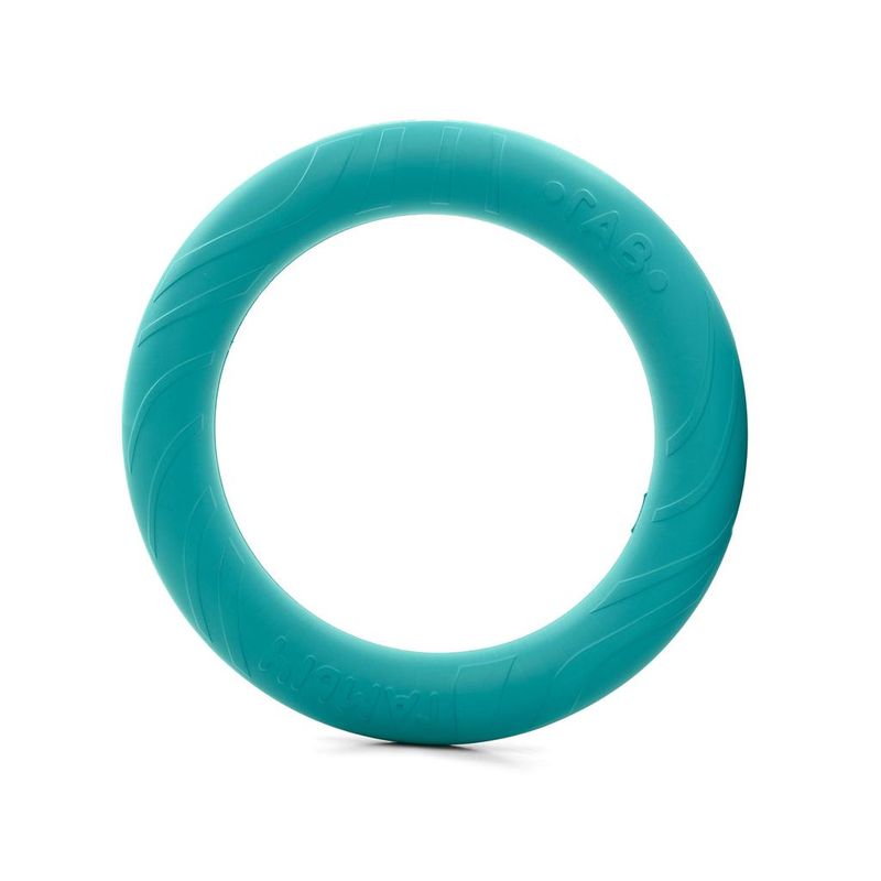 Игрушка для собак "Кольцо"серия ГАВ ГАМЫЧ XS 130 мм