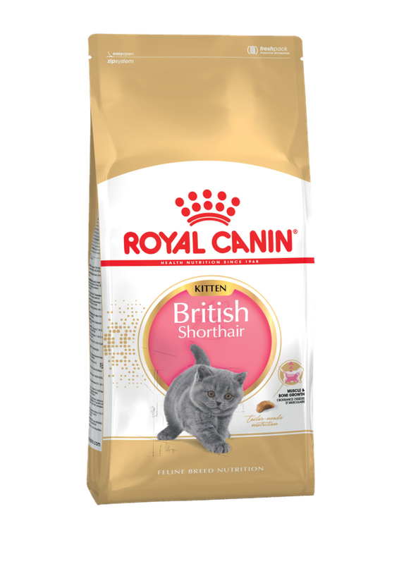 British Shorthair Kitten 0,4 кг
