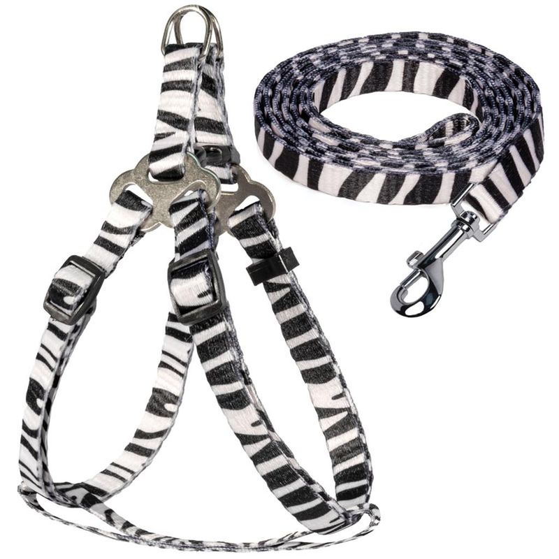 Комплект шлейка и поводок "Абстракция" нейлон XS