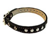 Ошейник №10 с подкладом украшенный 1 шт