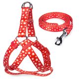 Комплект шлейка и поводок "Звездочки", нейлон M