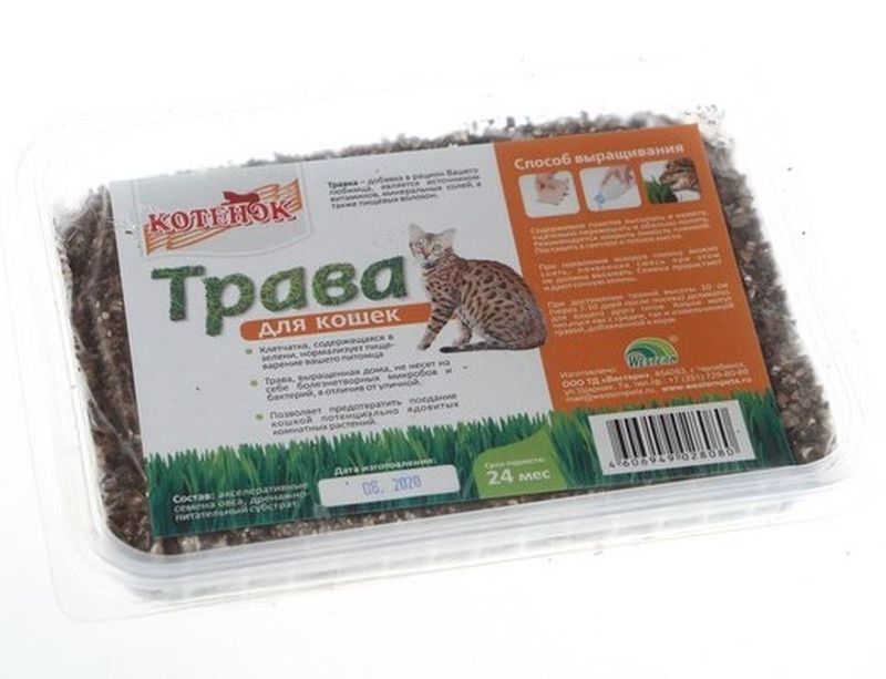 Трава для кошек, контейнер 40 гр