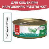 Blitz Vetline Cat Gastrointestinal 100 гр