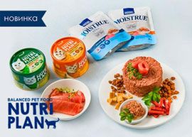 Новинка: влажные корма NUTRI PLAN!