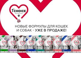 Новинка: новая линейка кормов 1st Choice!