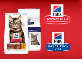 Важная информация от Hill's!