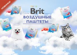 Новинка: Воздушные паштеты Brit Premium!