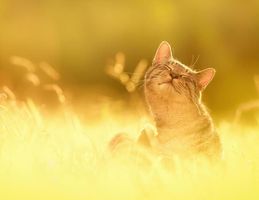 Режим работы интернет-магазина в майские праздники