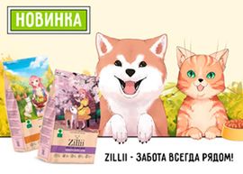 Новинка: сухие корма Zillii для собак и кошек!