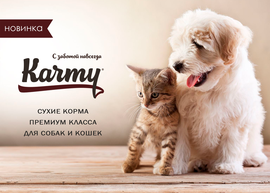 Новинка: сухой корм Karmy премиум класса для собак и кошек!