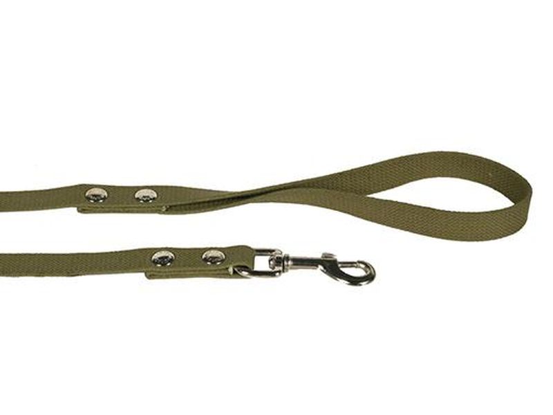 Поводок брезентовый со стальным карабином 25 мм, длина 2 м