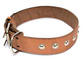 Ошейник кожаный двойной с украшениями, кольцо перед пряжкой 30 мм, обхват 44-53 см