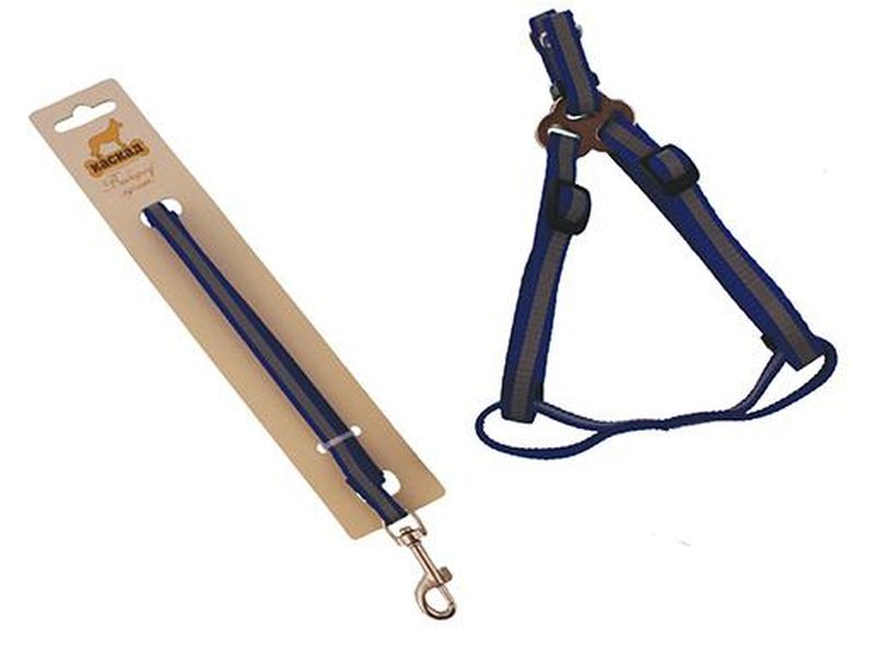 Комплект: светоотражающий поводок 15мм/120см + шлейка 15мм 30/50см, нейлон черный