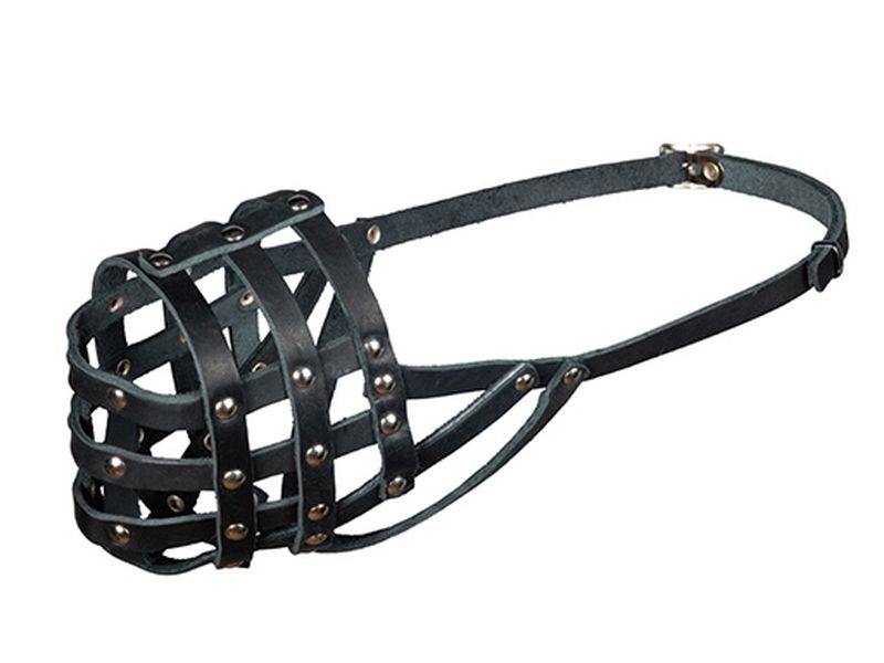 Намордник кожаный № 5